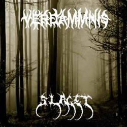 Verdammnis (GER) : Slaget